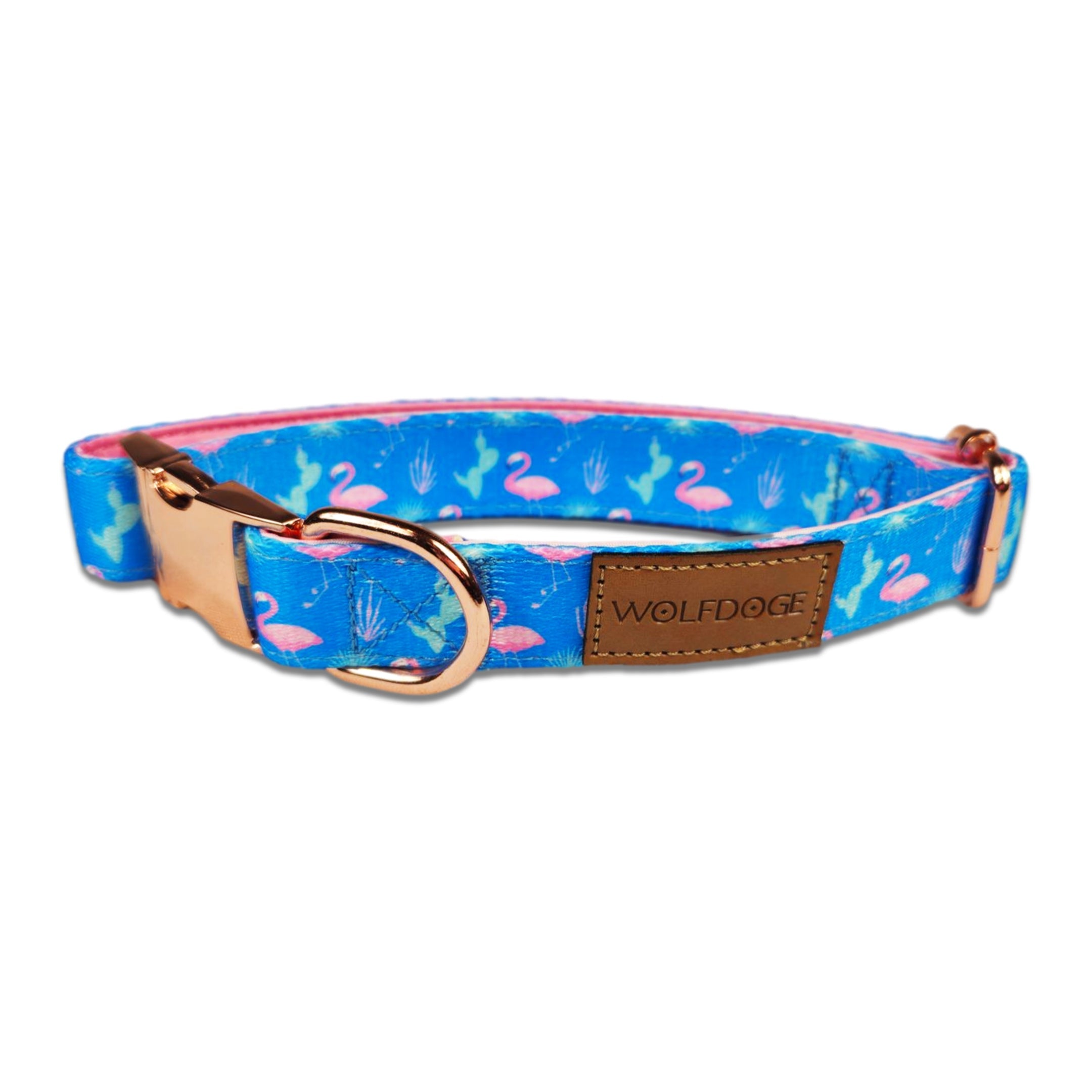 Wolfdoge Flamingo Fiesta Dog Collar – Collars | Doggo Dream Shop