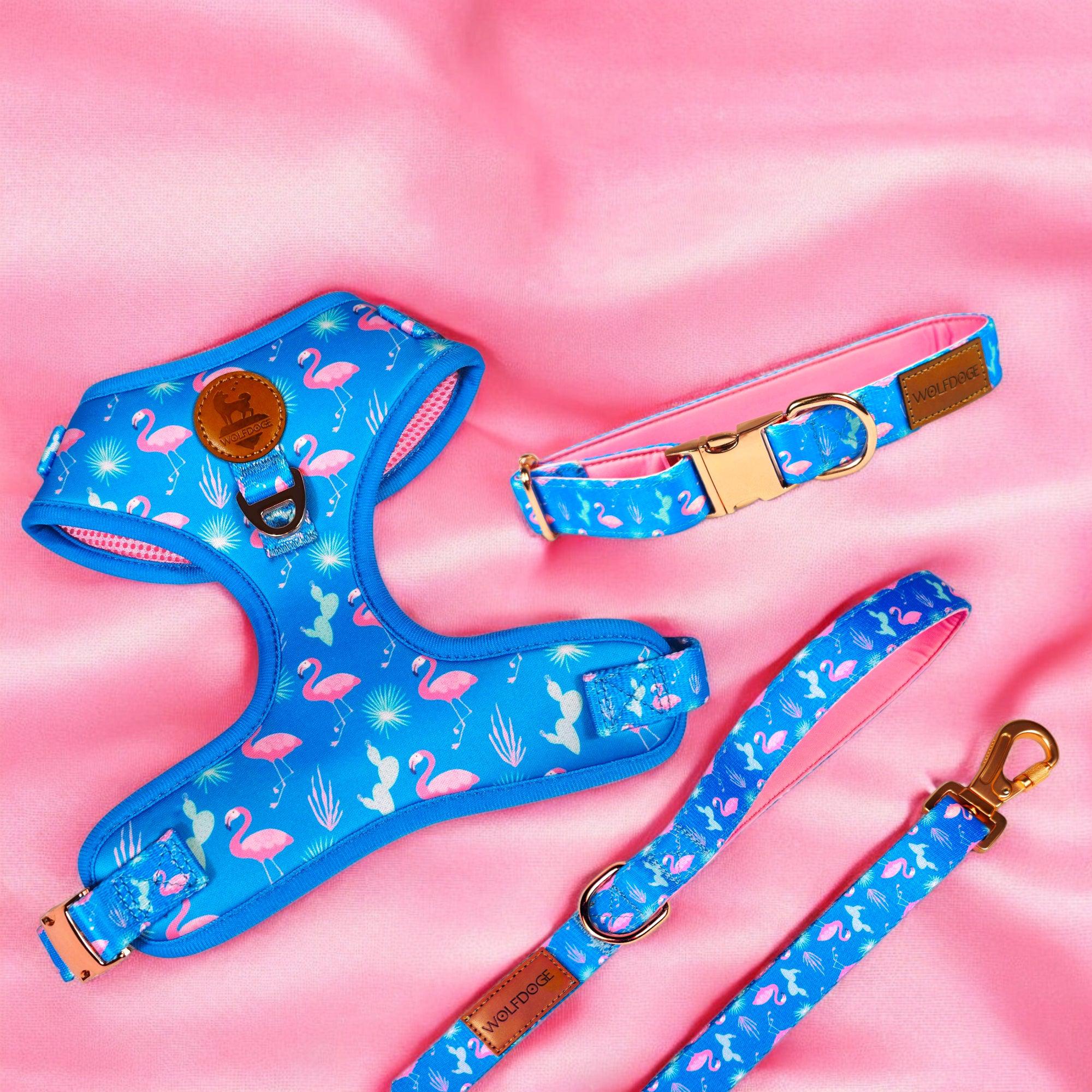 Wolfdoge Flamingo Fiesta Dog Harness – Harnesses | Doggo Dream Shop