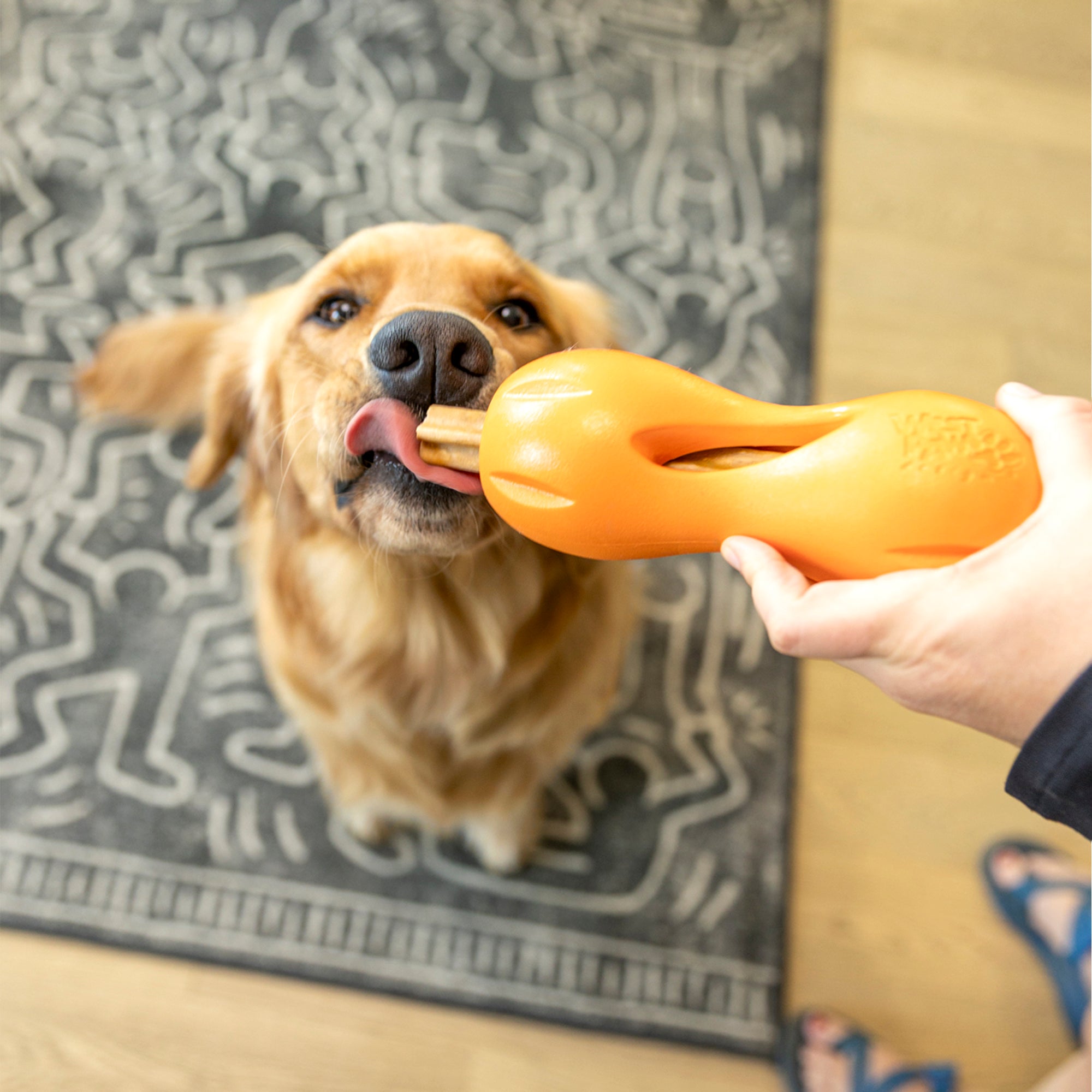 West Paw Natural Dental Sticks for Dogs – Small
