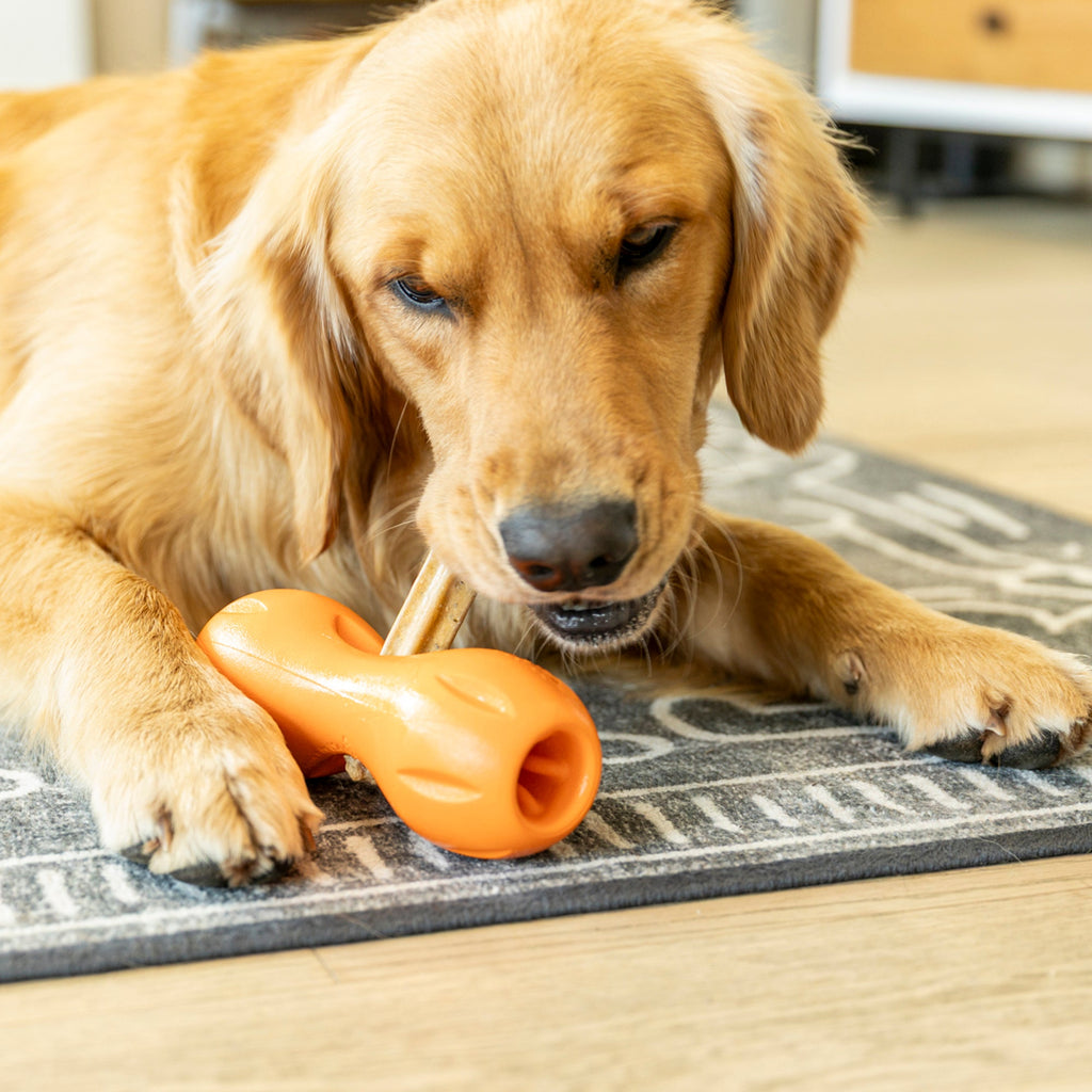 West Paw Natural Dental Sticks for Dogs – Small