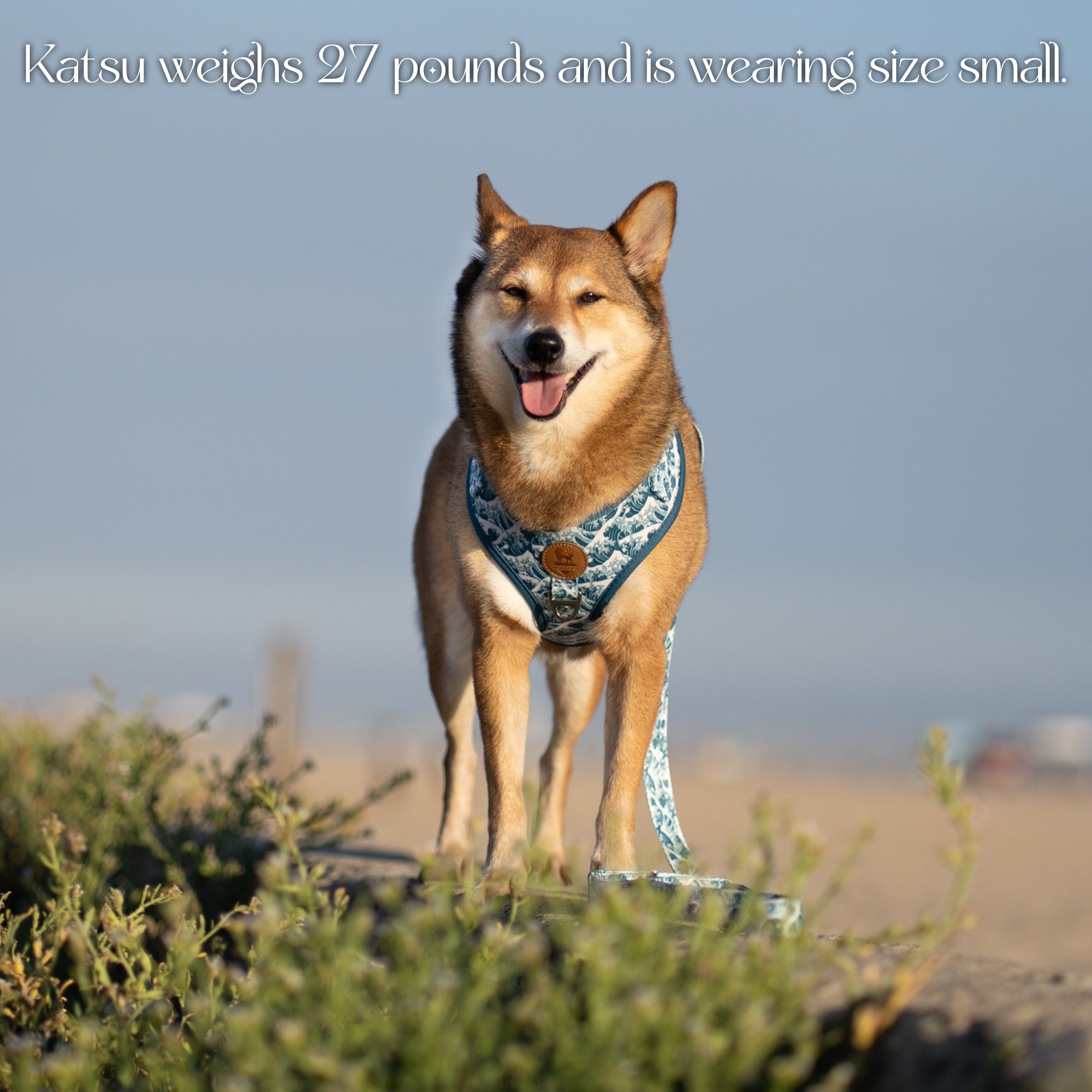 Wolfdoge Great Wave Dog Harness – Harnesses | Doggo Dream Shop