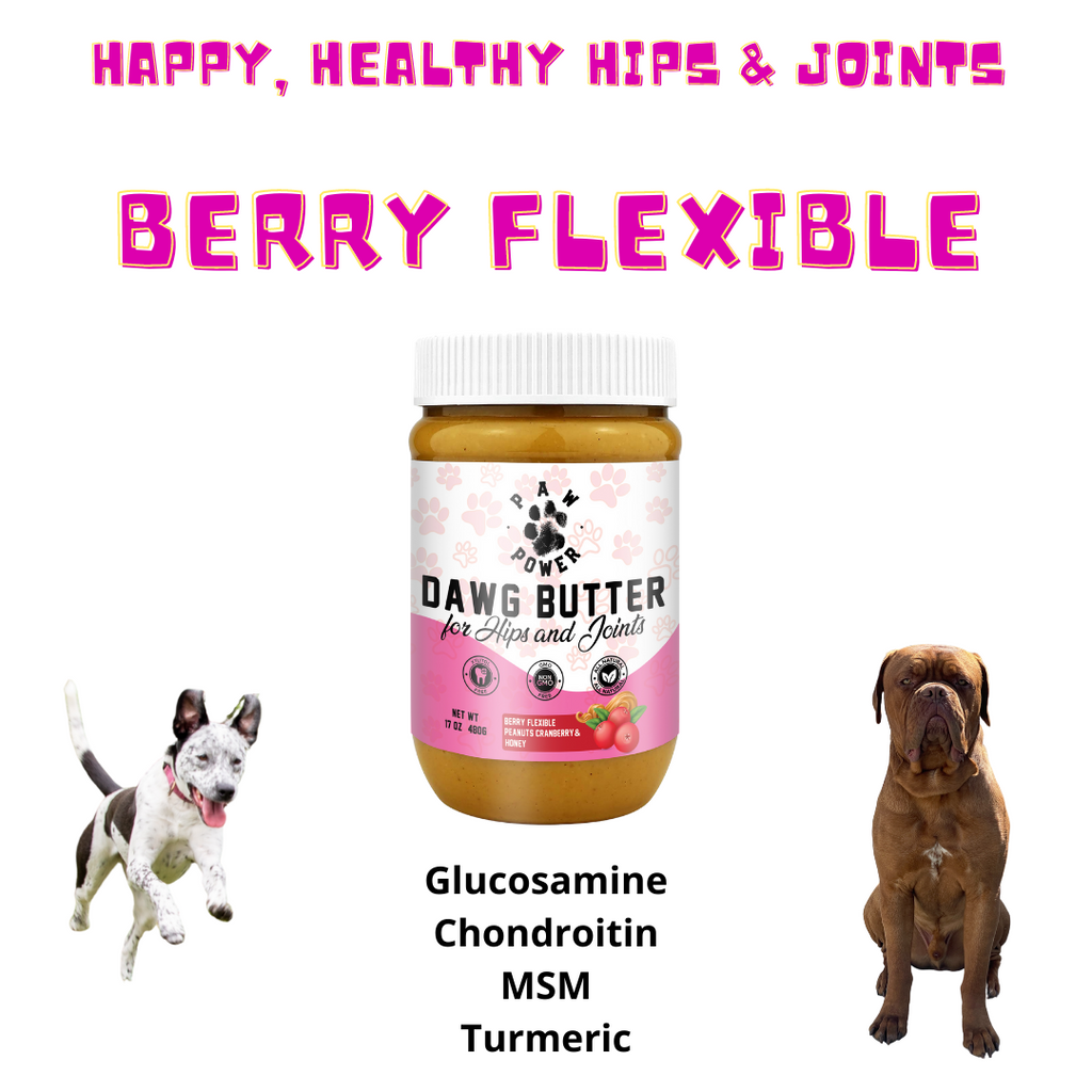 Dawg Butter Berry Flexible – Hip & Joint Supplement Peanut Butter for Dogs | Paw Power Nutrition