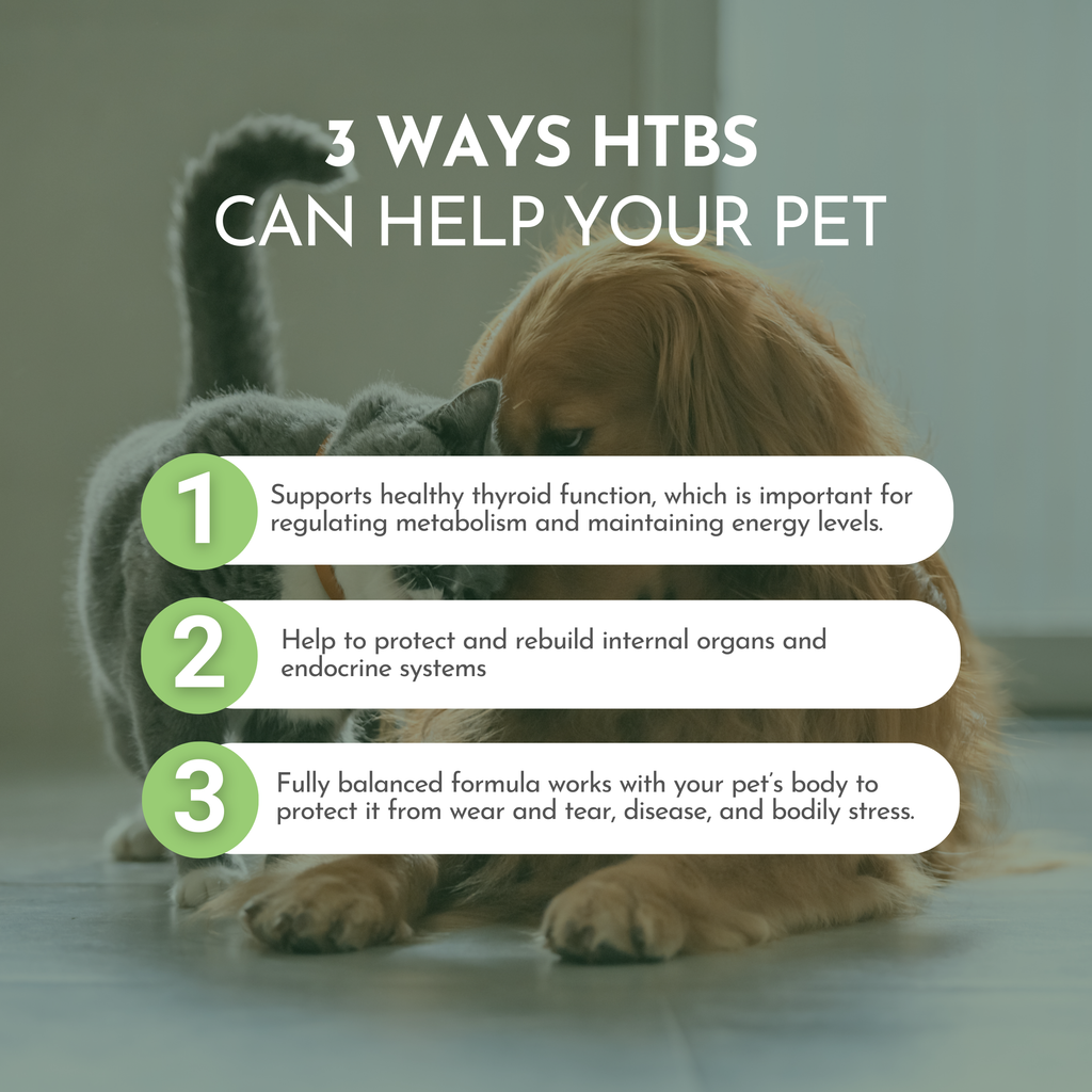 Holistic Total Body Support – Multivitamin & Glandular Supplement for Dogs & Cats | Dr. Ruth Roberts