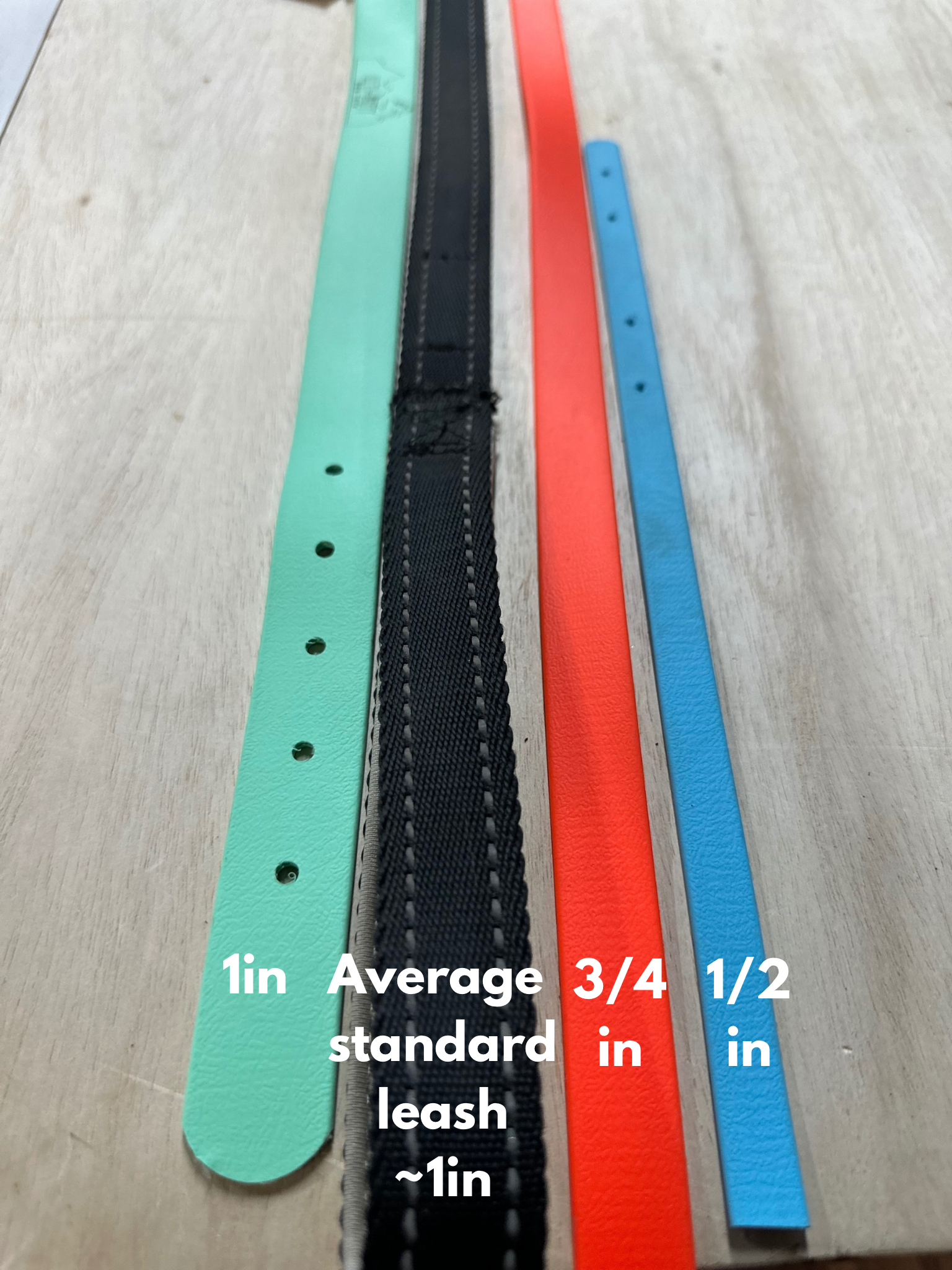 1 in Flat Collars – Collars | Doggo Dream Shop