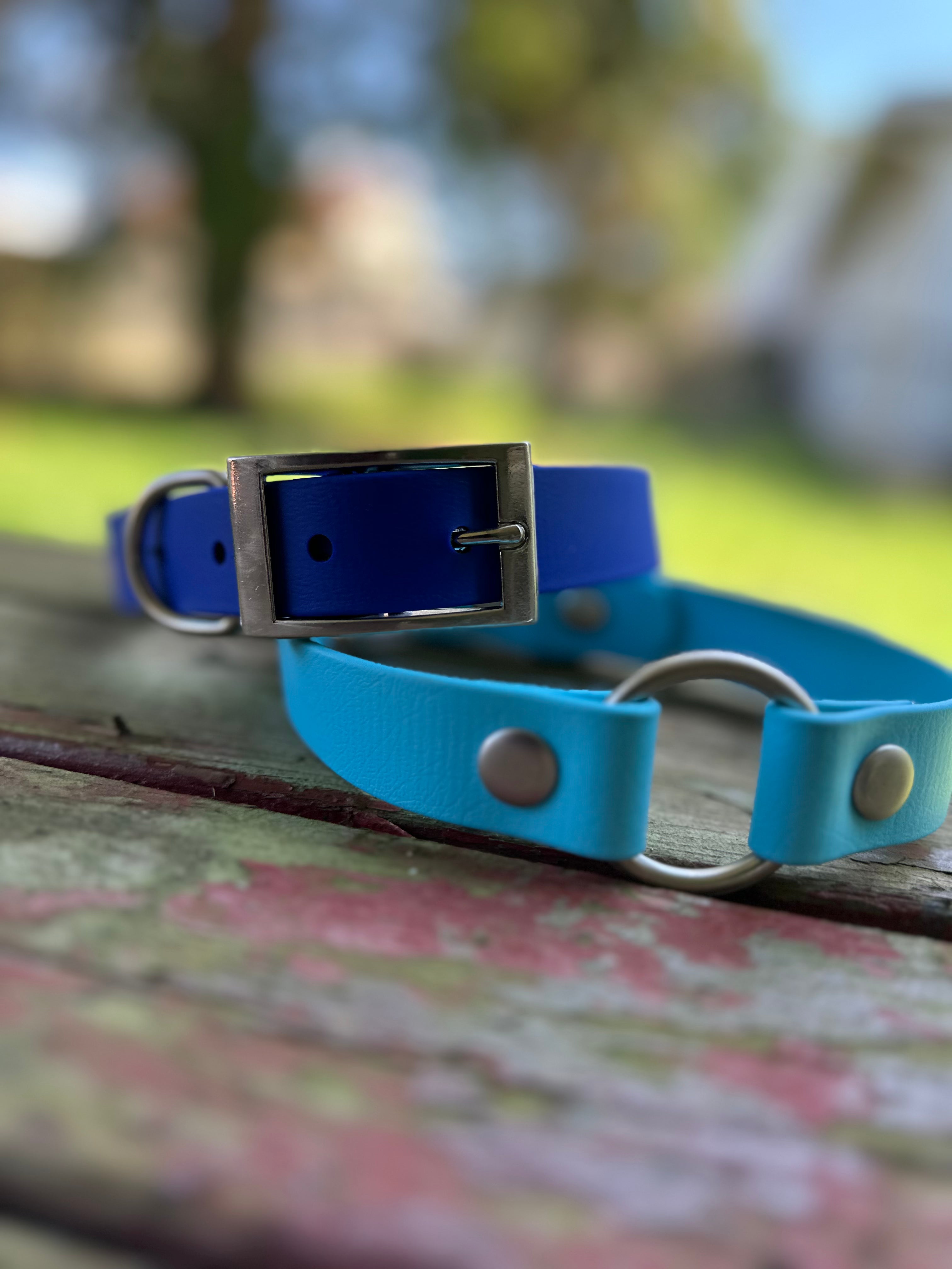 Biothane Sport Dog Collar – Collars | Doggo Dream Shop
