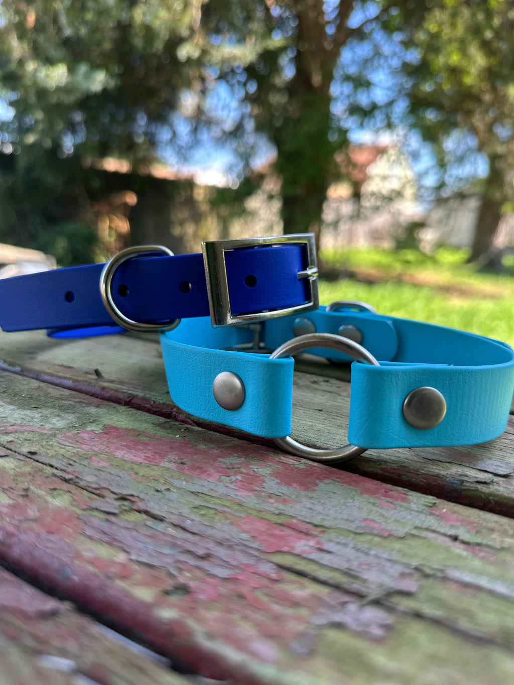 Biothane Sport Dog Collar – Collars | Doggo Dream Shop