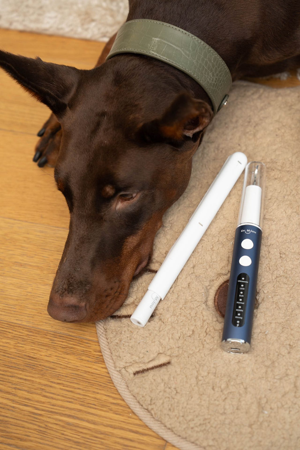 Professional Pet Dental Cleaning Kit – Ultrasonic Scaler & Electric Toothbrush | Dr. Milou