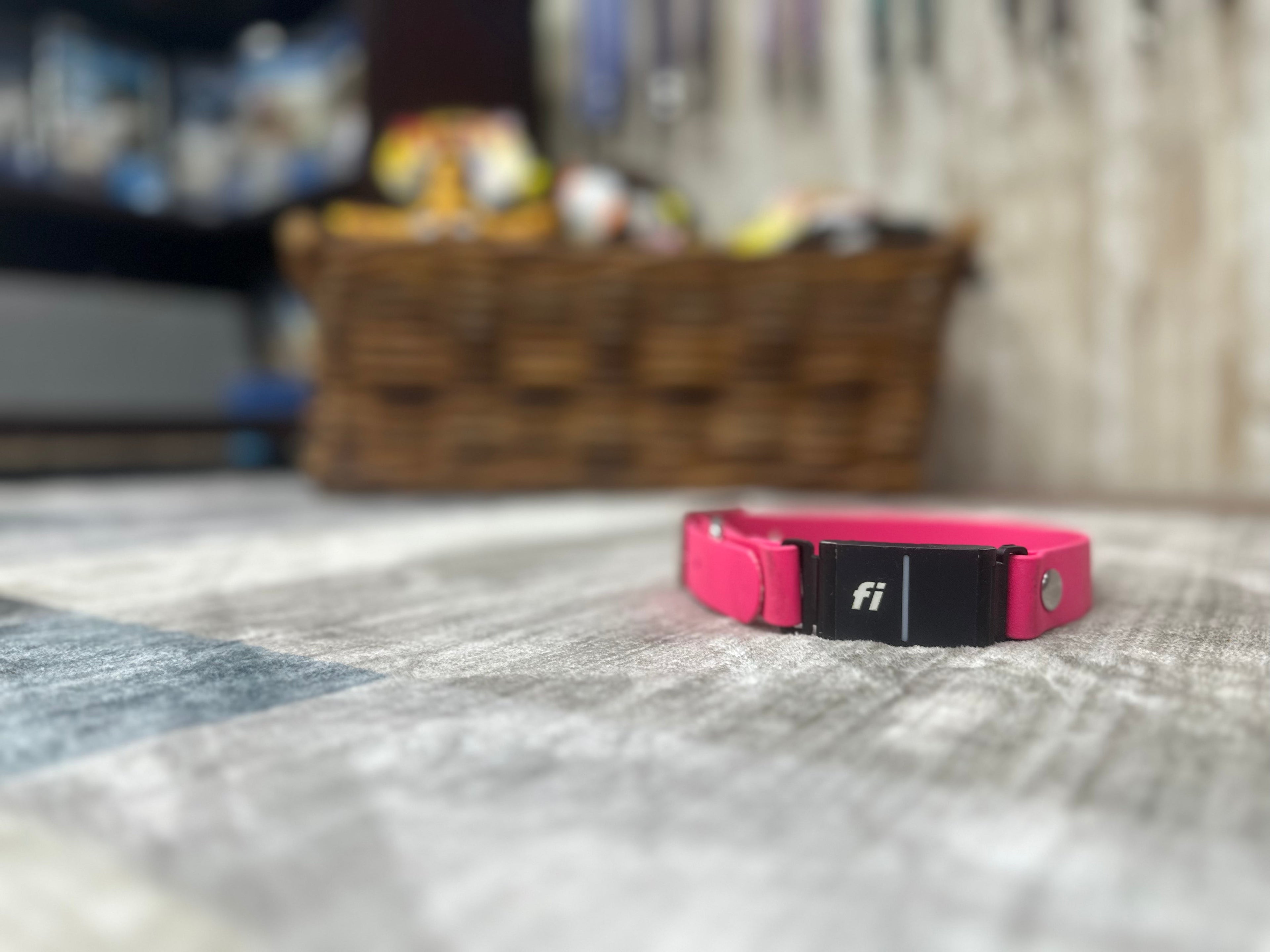 Fi Collar – Collars | Doggo Dream Shop