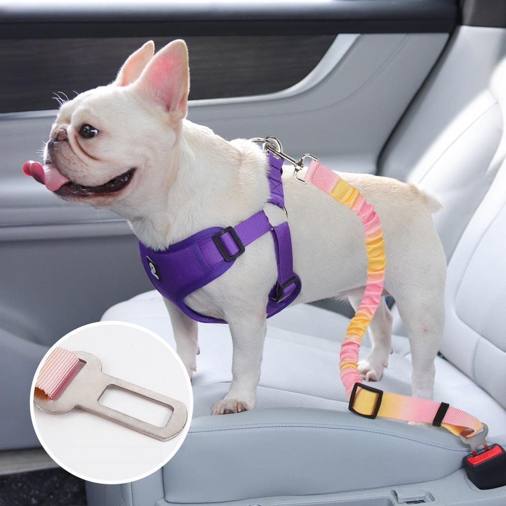 Adjustable Pet Car Seat Belt – Elastic Safety Belt for Dogs | Milou & Lumi