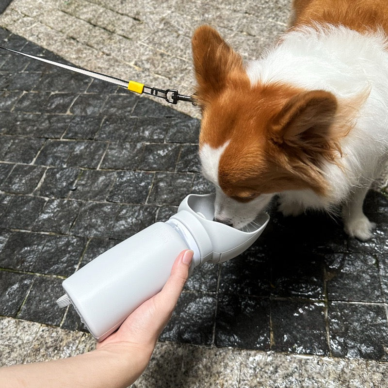 Collapsible Pet Water Bottle – Portable Silicone Travel Bottle for Dogs & Cats | Milou & Lumi