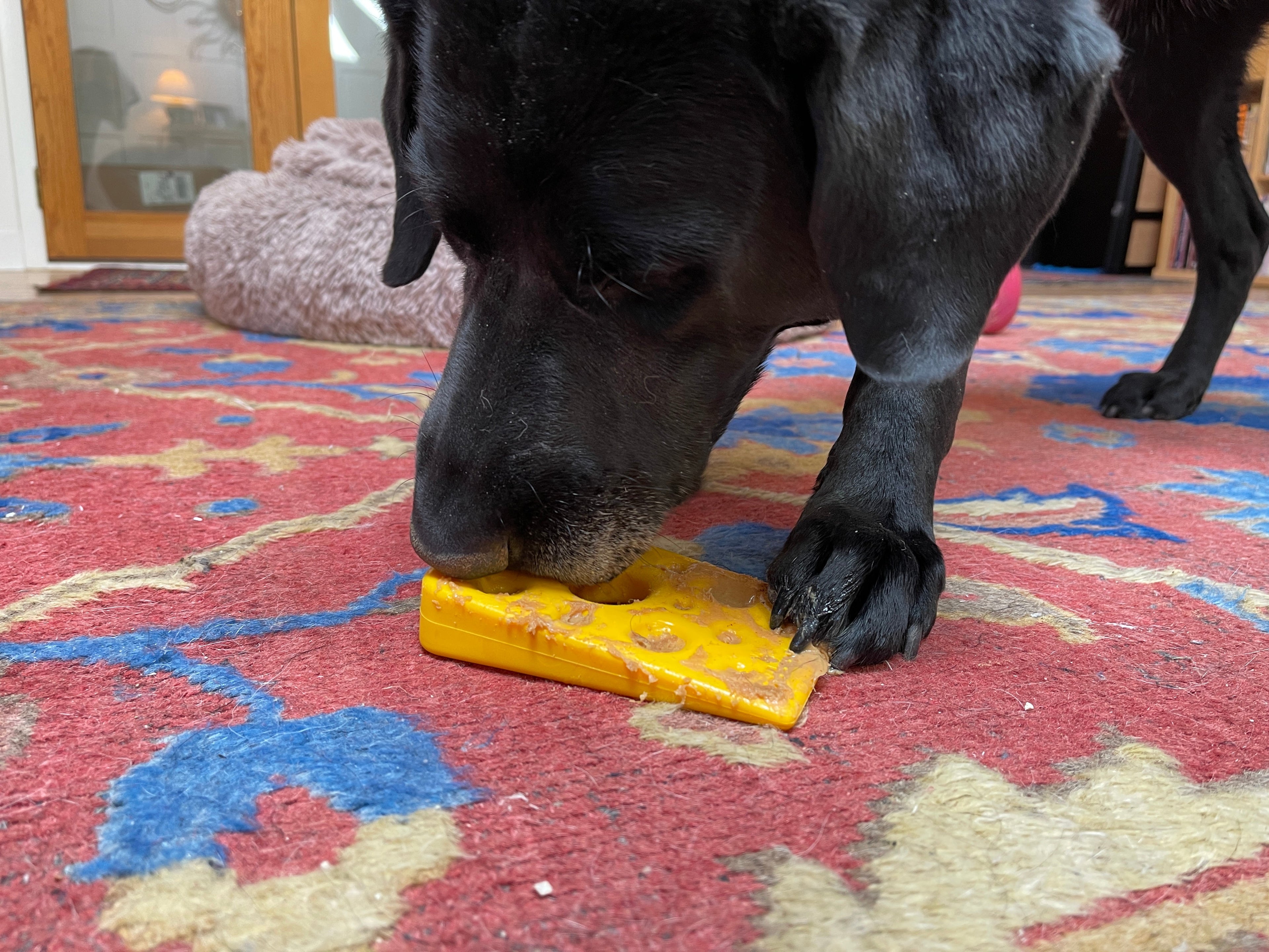 Swiss Cheese Wedge Nylon Dog Chew Toy for Aggressive Chewers | USA Made
