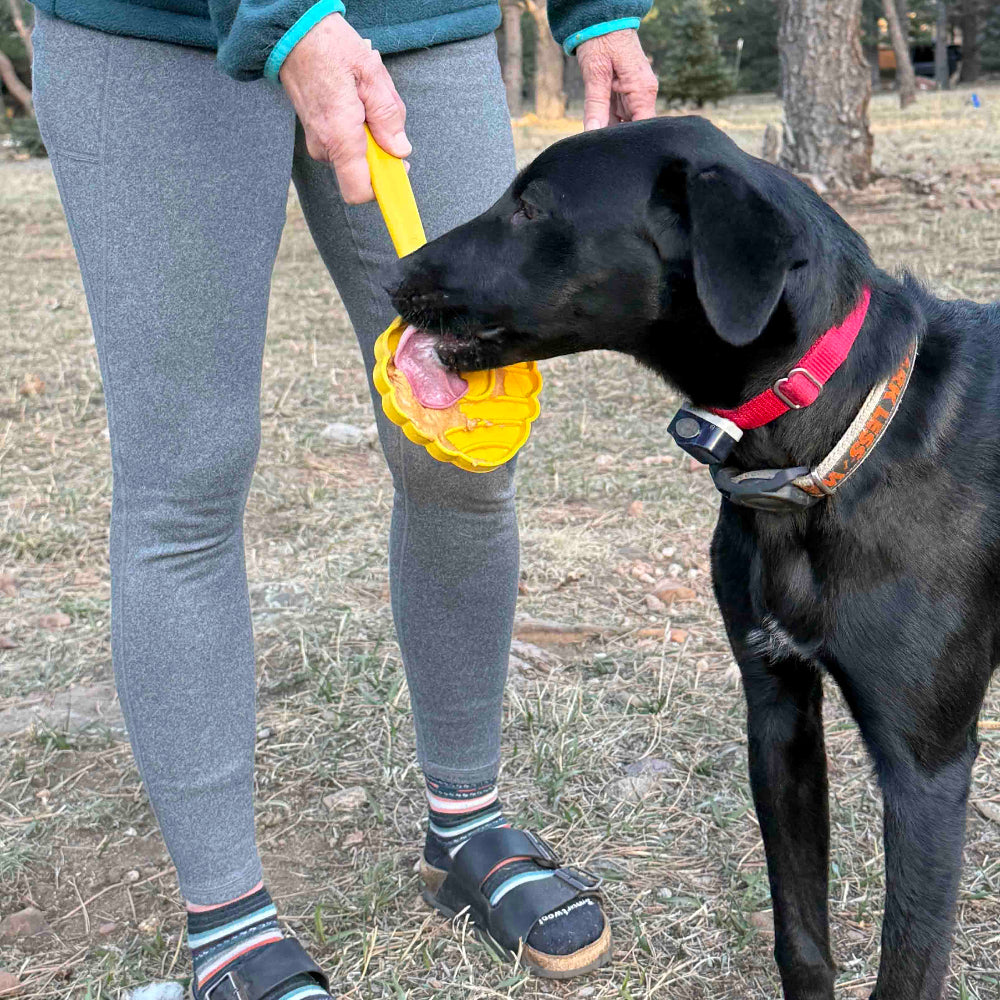 eStick Hand-Held Lick Stick Dog Enrichment Toy | USA Made