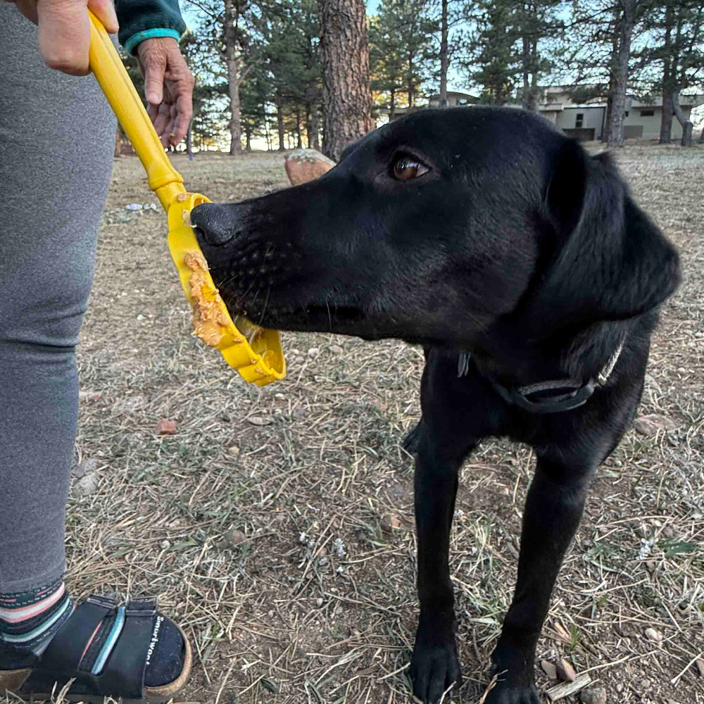eStick Hand-Held Lick Stick Dog Enrichment Toy | USA Made