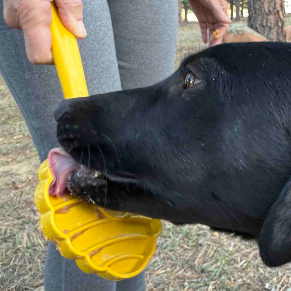 eStick Hand-Held Lick Stick Dog Enrichment Toy | USA Made