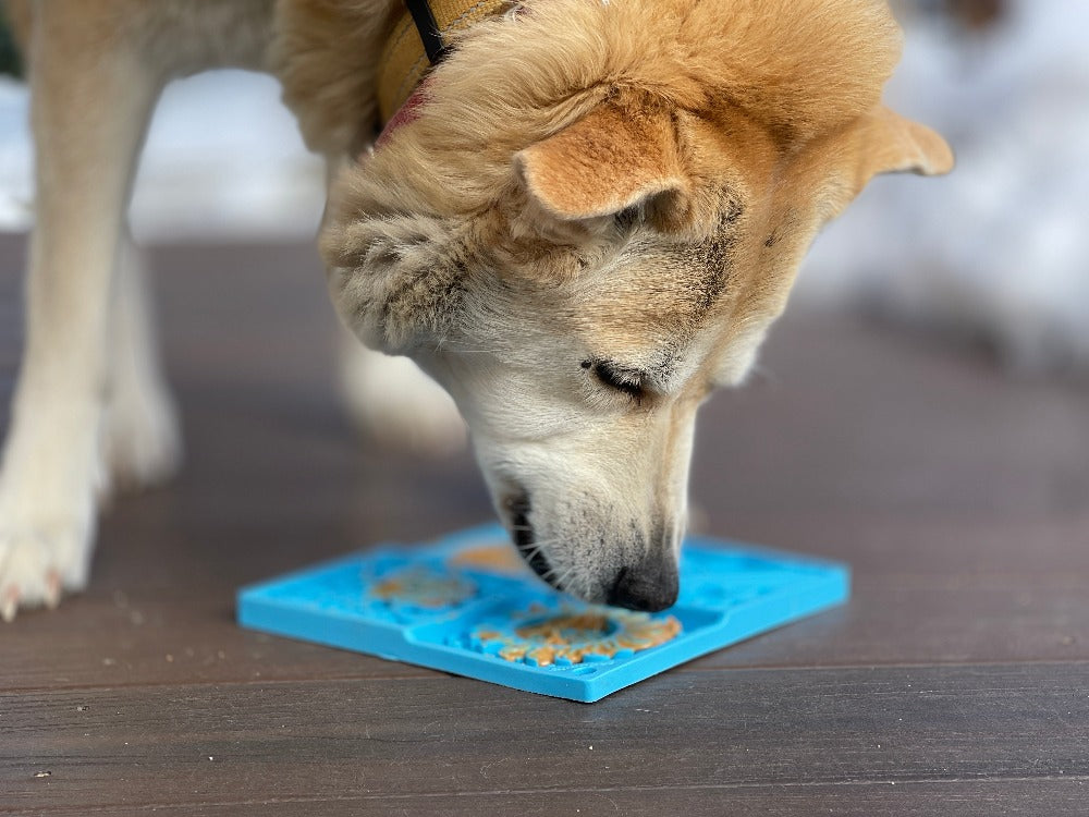 Sky eMat Enrichment Lick Mat for Dogs | Celestial Design | USA Made