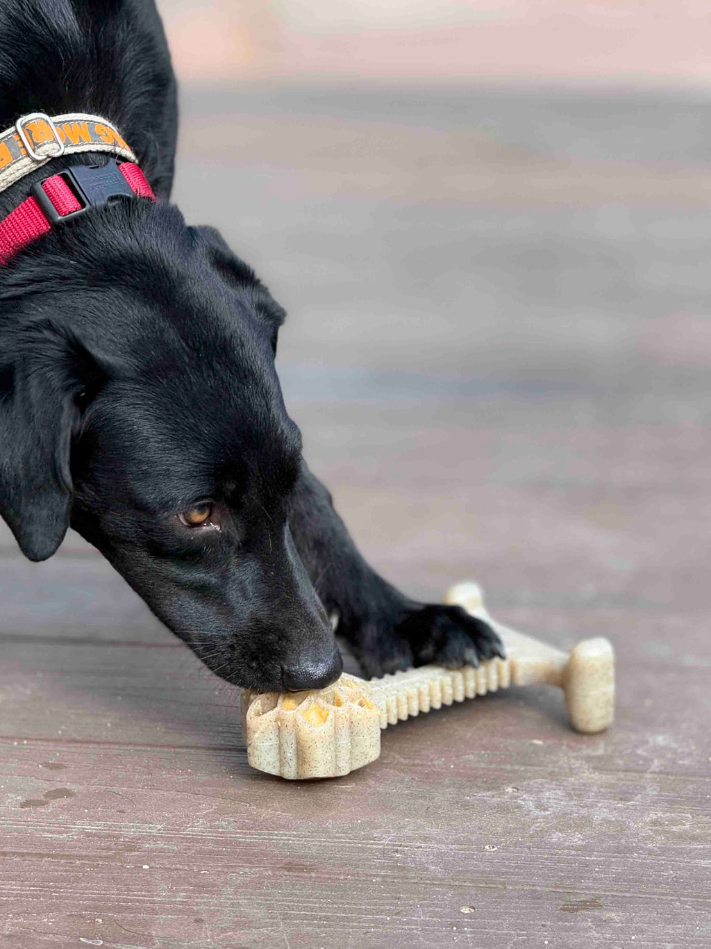 Honey Bone Dental Flower Tower XL Nylon Dog Chew Toy | USA Made