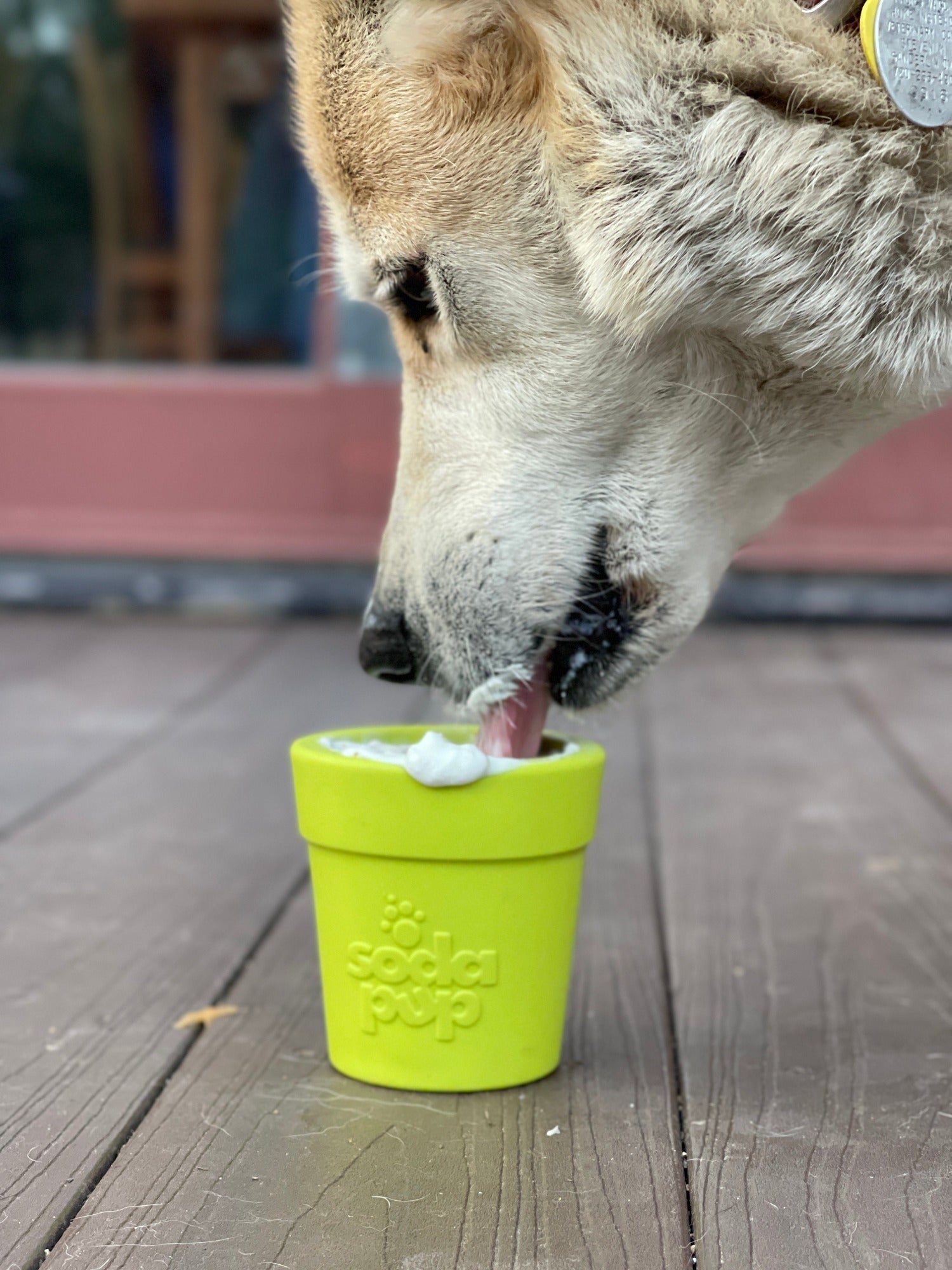 Large Flower Pot eCup Dog Treat Dispenser & Enrichment Toy | USA Made