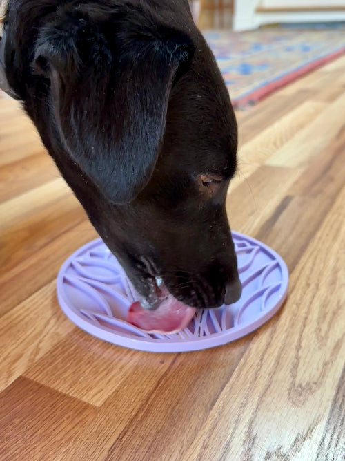 Tulip Design eMat Enrichment Lick Mat with Suction Cups | USA Made