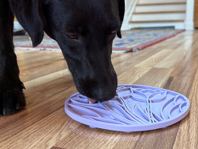 Tulip Design eMat Enrichment Lick Mat with Suction Cups | USA Made