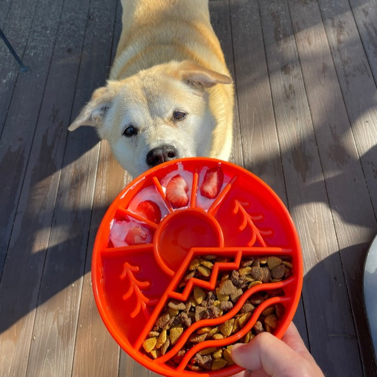Great Outdoors eBowl used as lick mat — peanut butter spread across ridge pattern