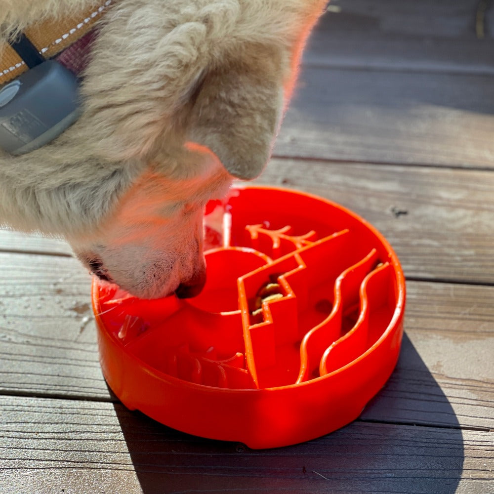 Dog using SodaPup Great Outdoors eBowl — enrichment slow feeder for fast eaters