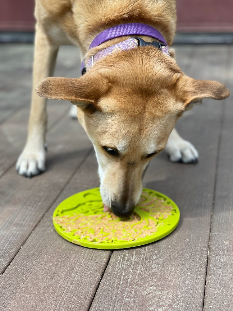 Tree of Life eMat Enrichment Lick Mat with Suction Cups | USA Made
