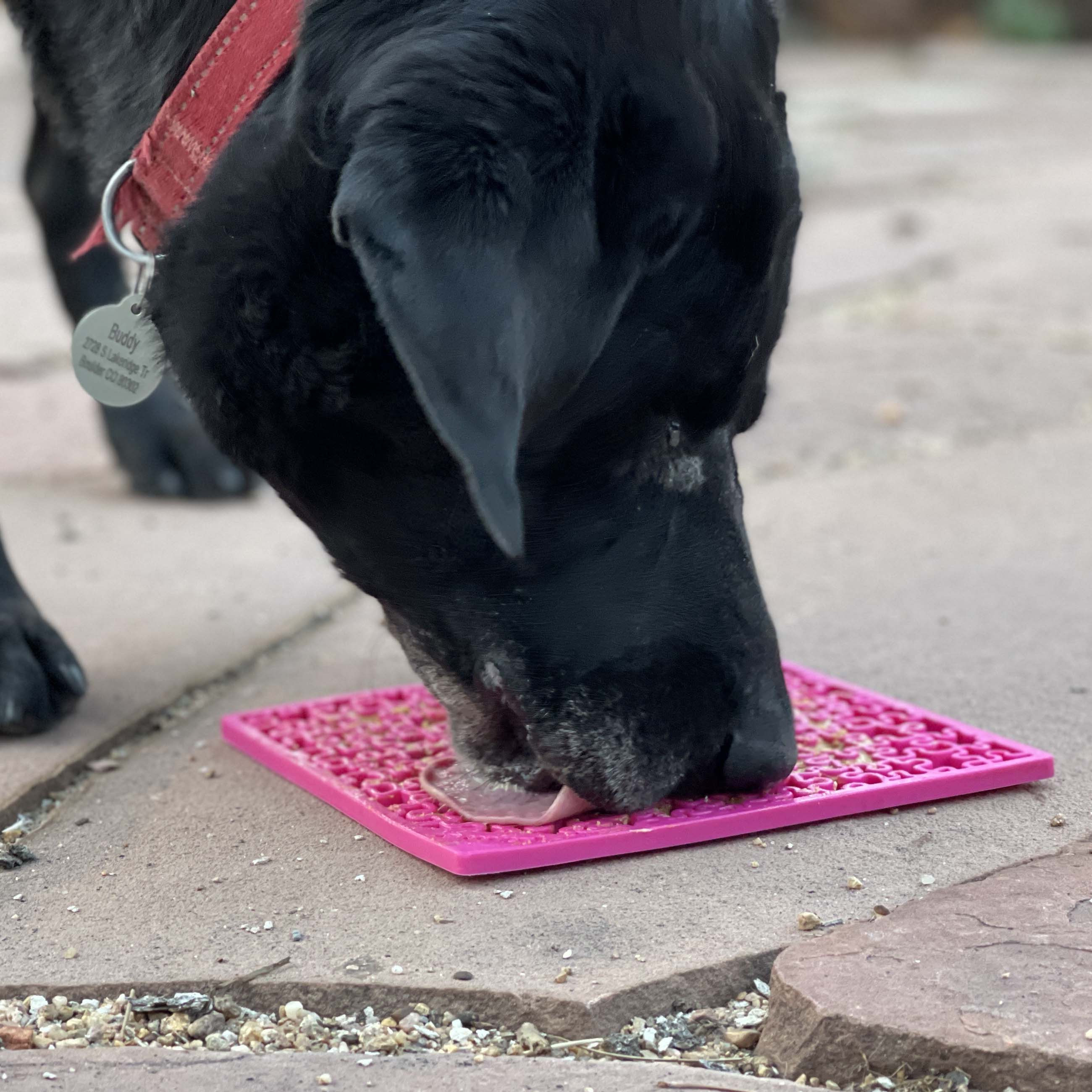 Jigsaw Puzzle eMat Enrichment Lick Mat for Dogs | USA Made