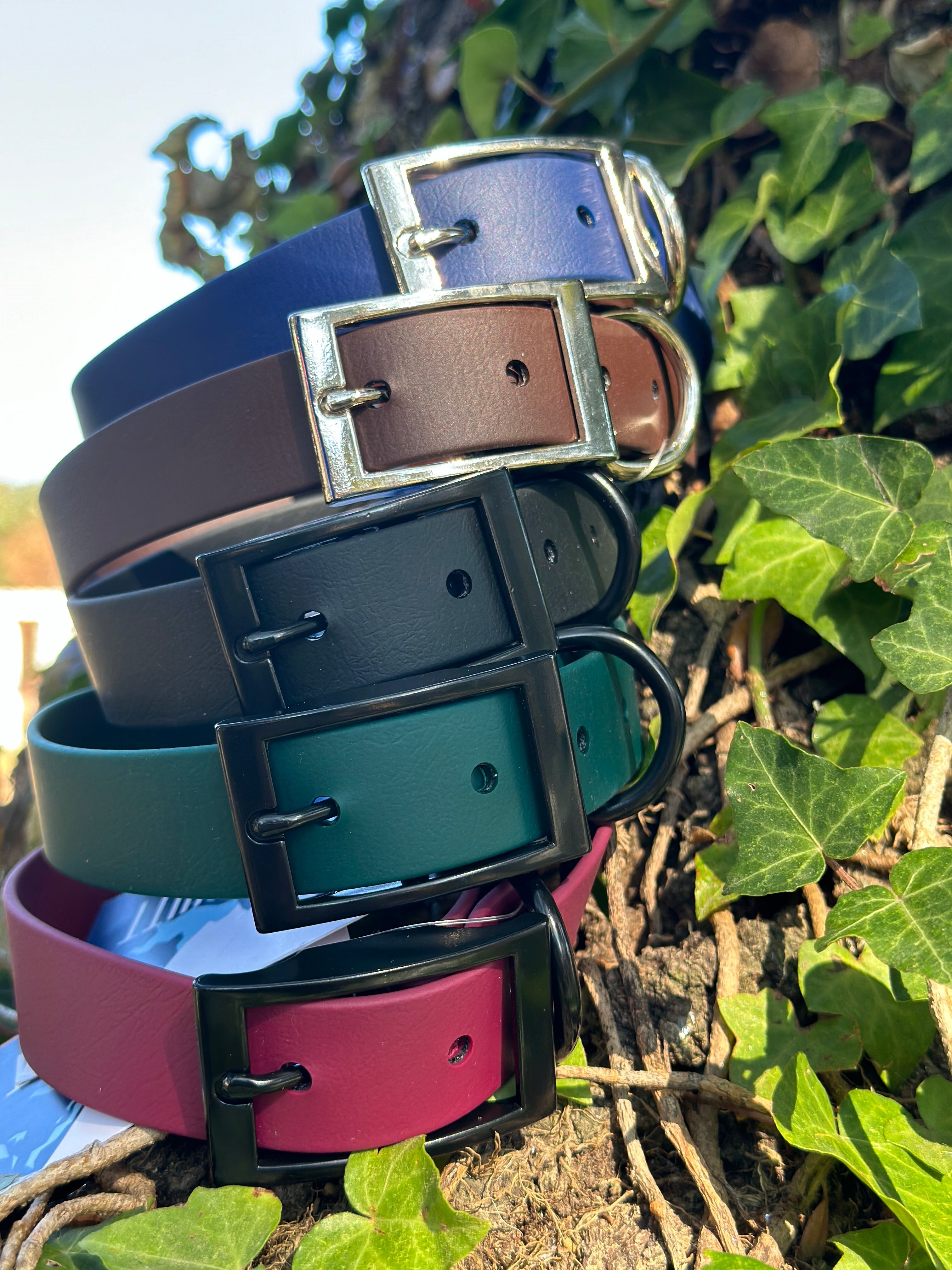 1 in Flat Collars – Collars | Doggo Dream Shop