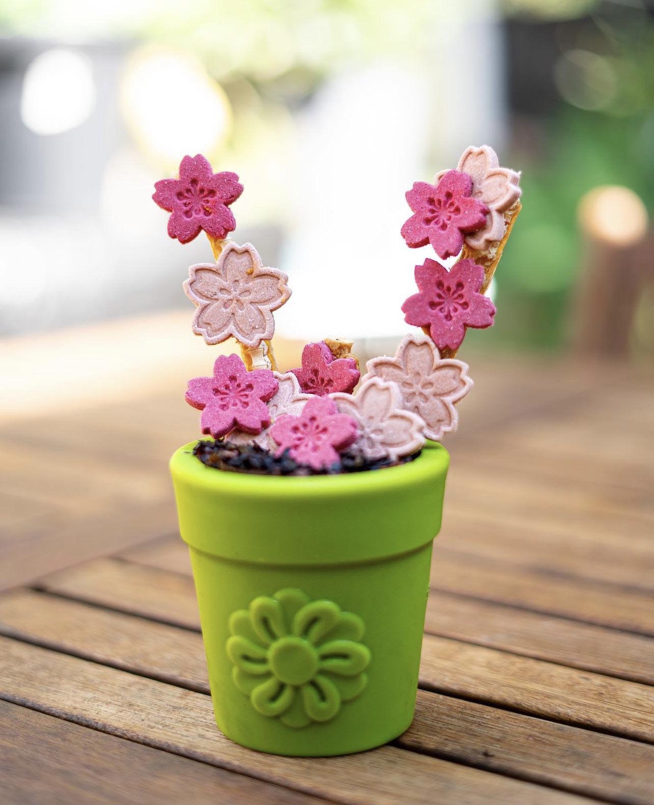 Large Flower Pot eCup Dog Treat Dispenser & Enrichment Toy | USA Made