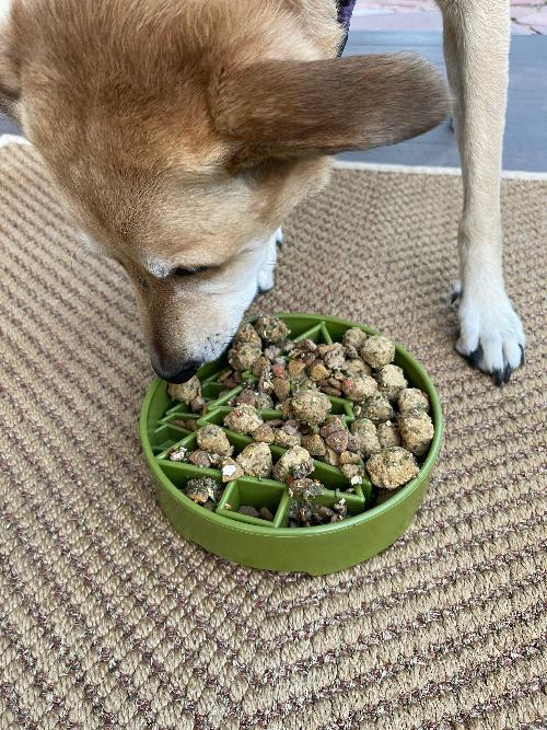 Pine Tree Christmas eBowl Deep Slow Feeder Dog Bowl | USA Made