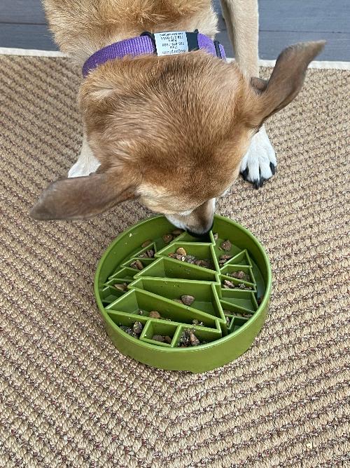 Pine Tree Christmas eBowl Deep Slow Feeder Dog Bowl | USA Made