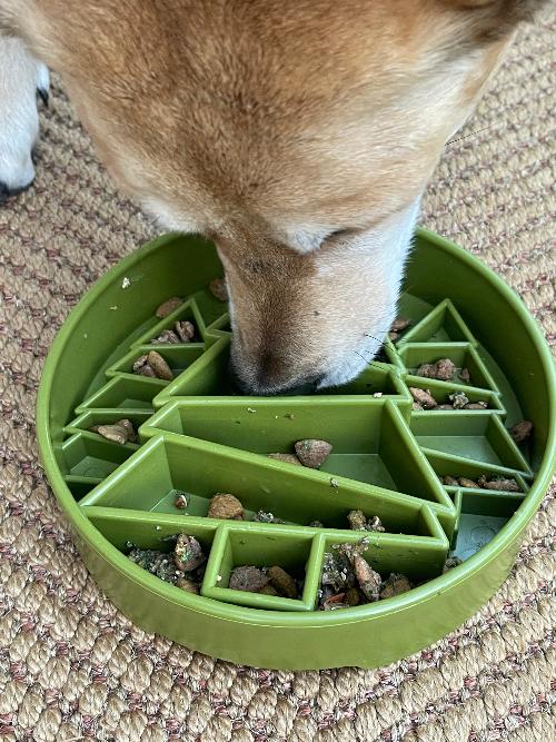 Pine Tree Christmas eBowl Deep Slow Feeder Dog Bowl | USA Made