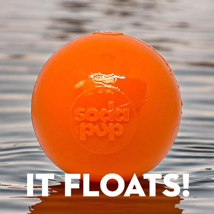 Squeak Ball – Durable Squeaky Dog Toy That Floats | USA Made