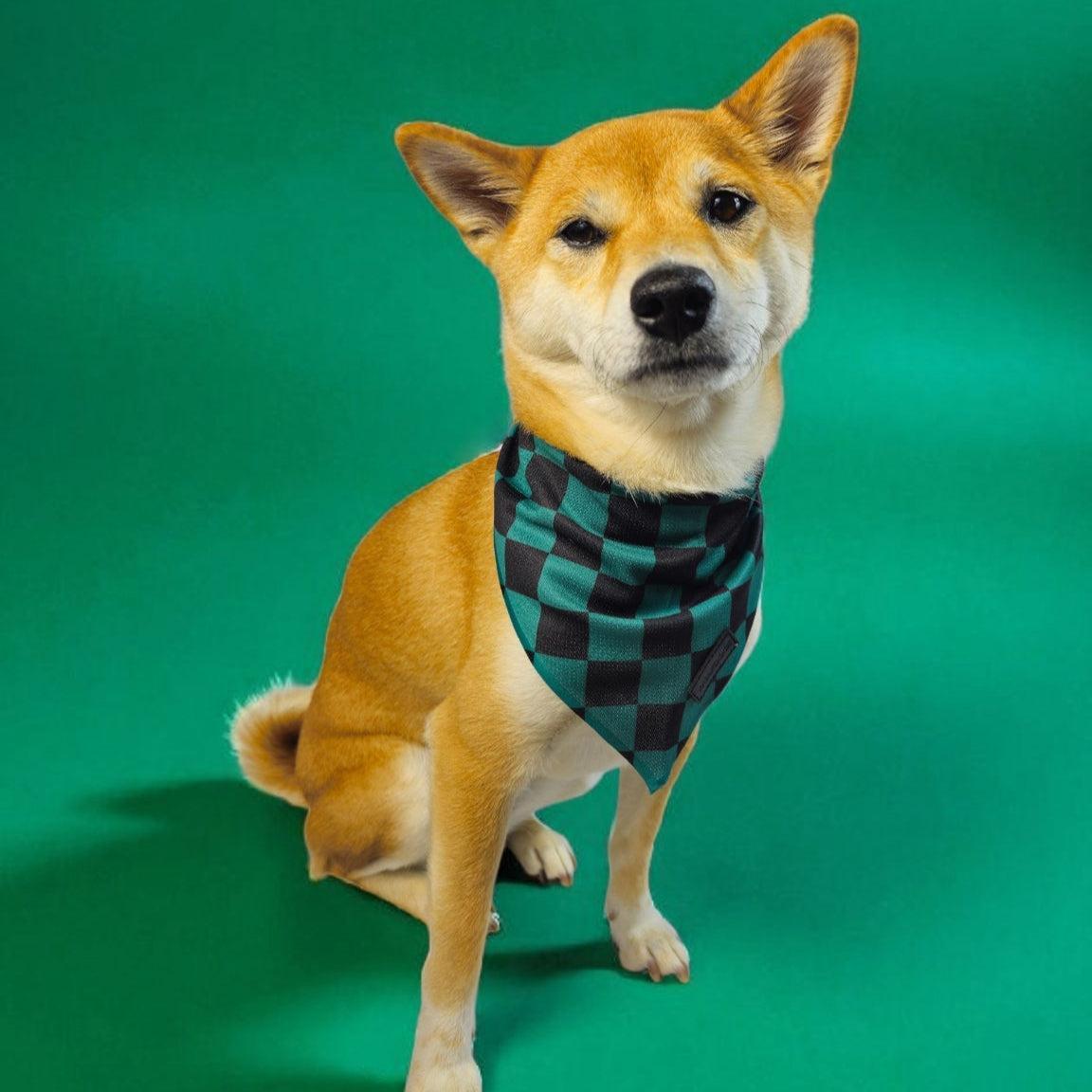 Wolfdoge Ichimatsu Checker Cooling Dog Bandana – Bandanas | Doggo Dream Shop