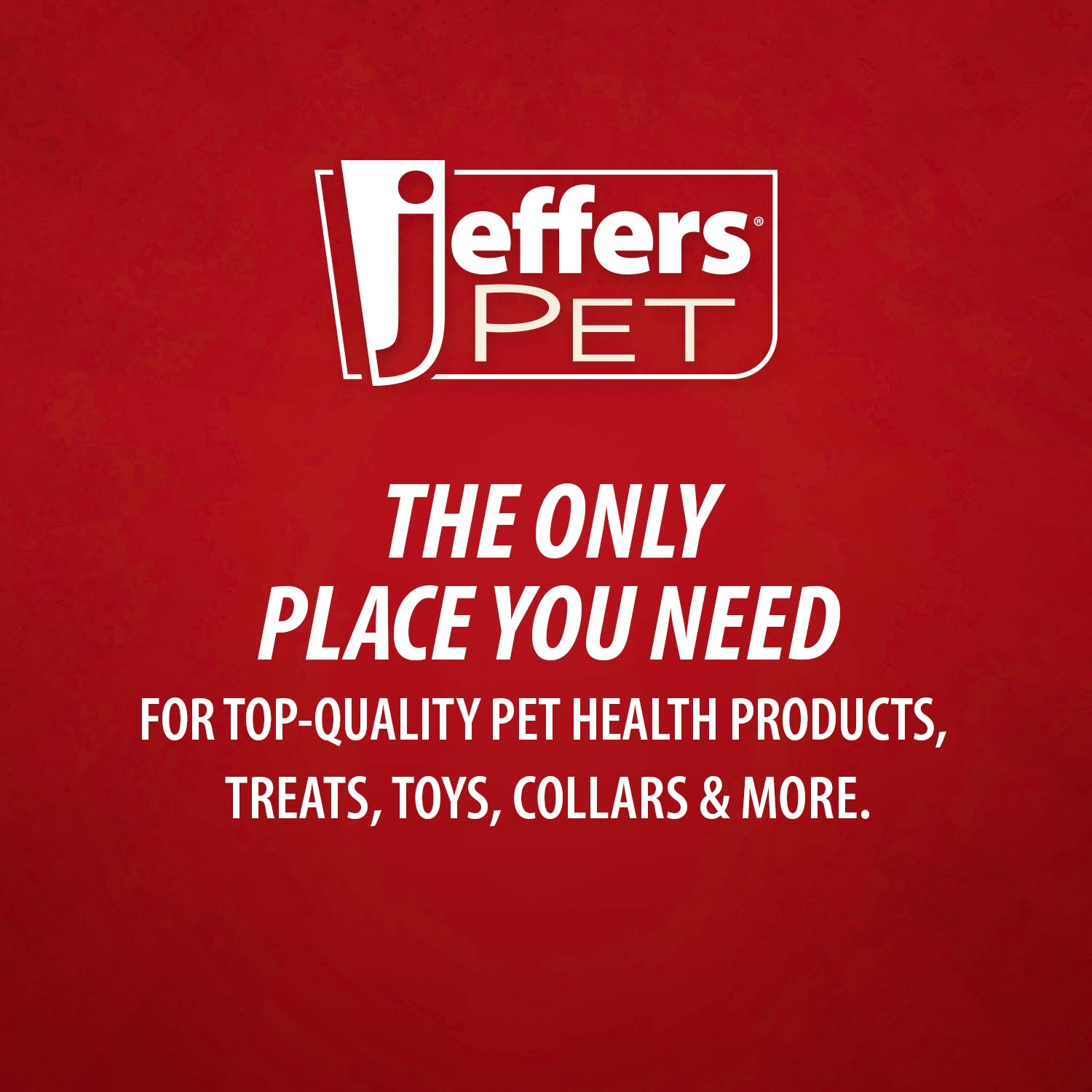 Apple Oatmeal Hypoallergenic Dry Skin Shampoo for Dogs & Cats