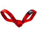 LUCKY DOG $7 Love Bird Seatbelt Tug – Dog Toys | Doggo Dream Shop