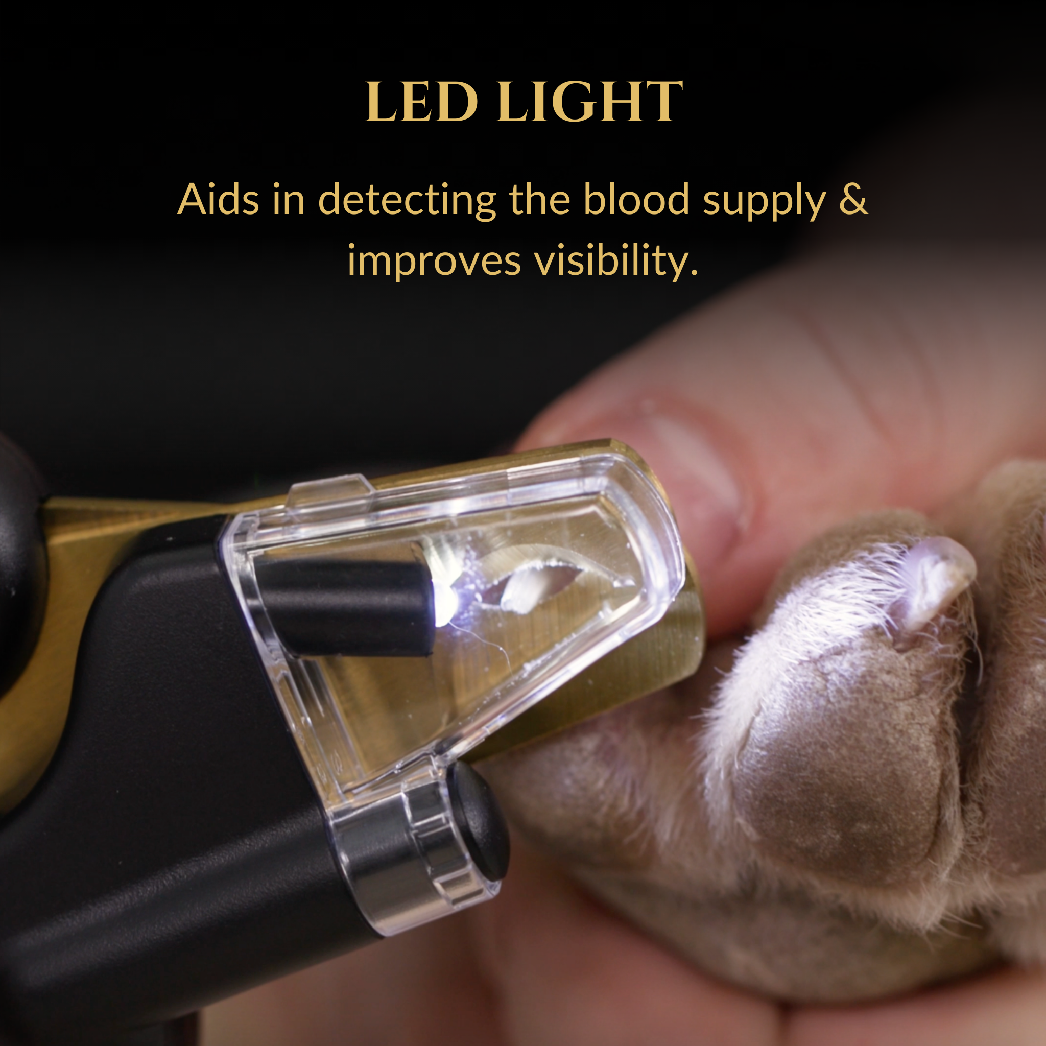 3-in-1 Dog Nail Clippers with LED Light | Wasatch Pup