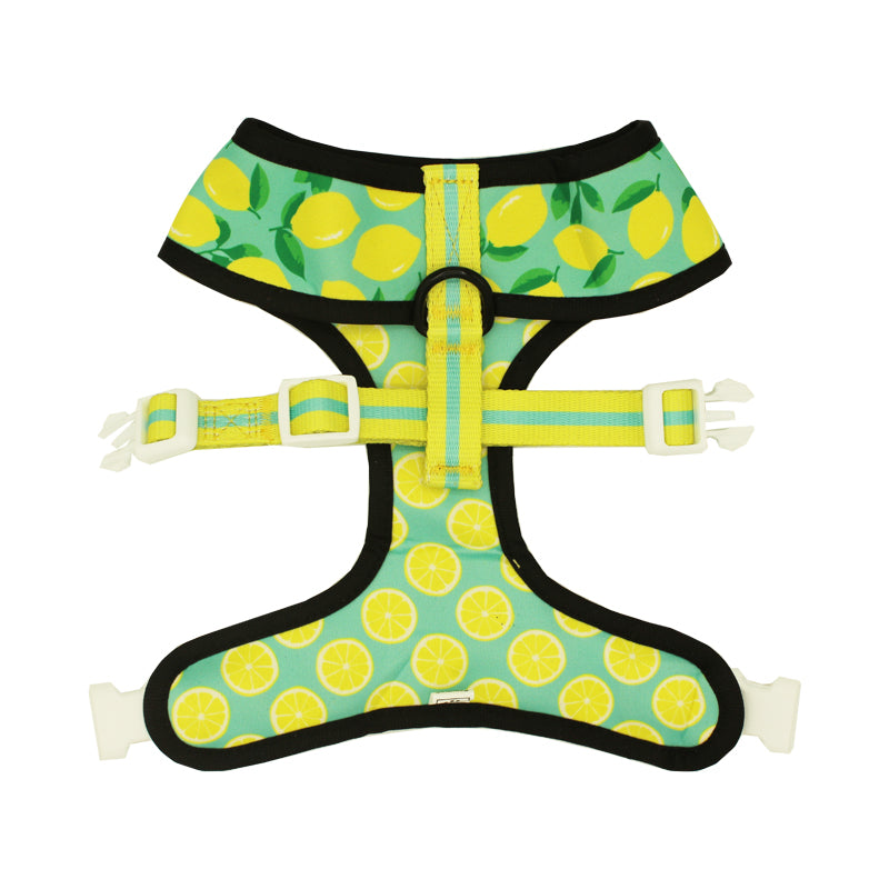 Worth The Squeeze Reversible Harness – Reversible Harness | Doggo Dream Shop