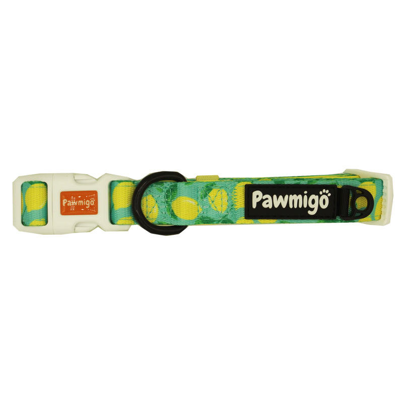 Worth The Squeeze Classic Collar – Collar | Doggo Dream Shop