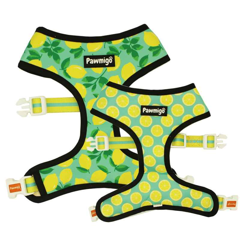 Worth The Squeeze Reversible Harness – Reversible Harness | Doggo Dream Shop