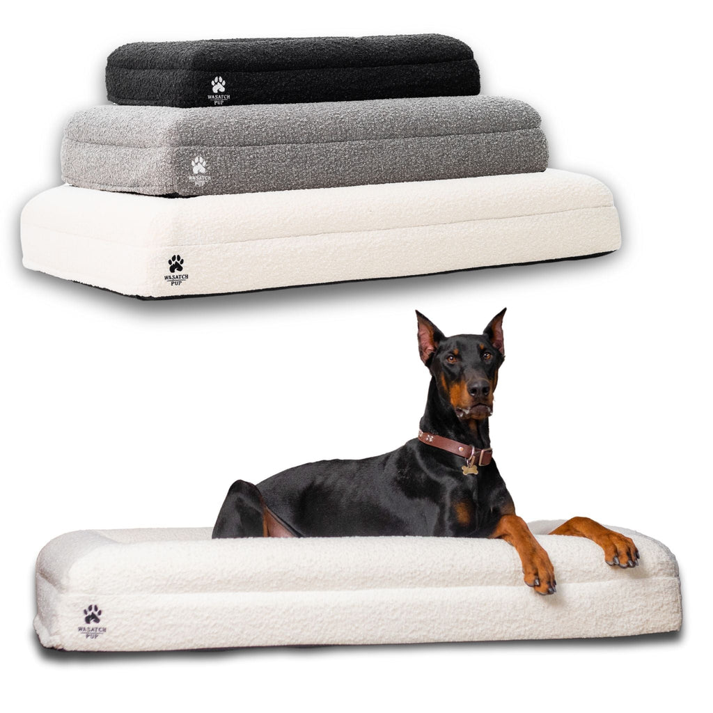 Luxury Orthopedic Dog Bed | Memory Foam + Boucle | Wasatch Pup