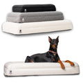 Luxury Orthopedic Dog Bed | Memory Foam + Boucle | Wasatch Pup