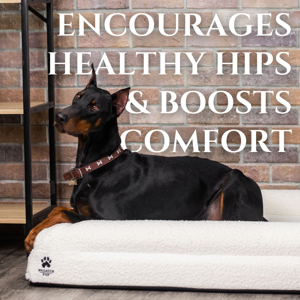 Luxury Orthopedic Dog Bed | Memory Foam + Boucle | Wasatch Pup
