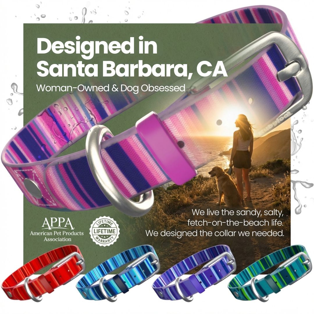 Waterproof Dog Collar – Washable, Stink-Proof & Quick-Dry | Rubyloo