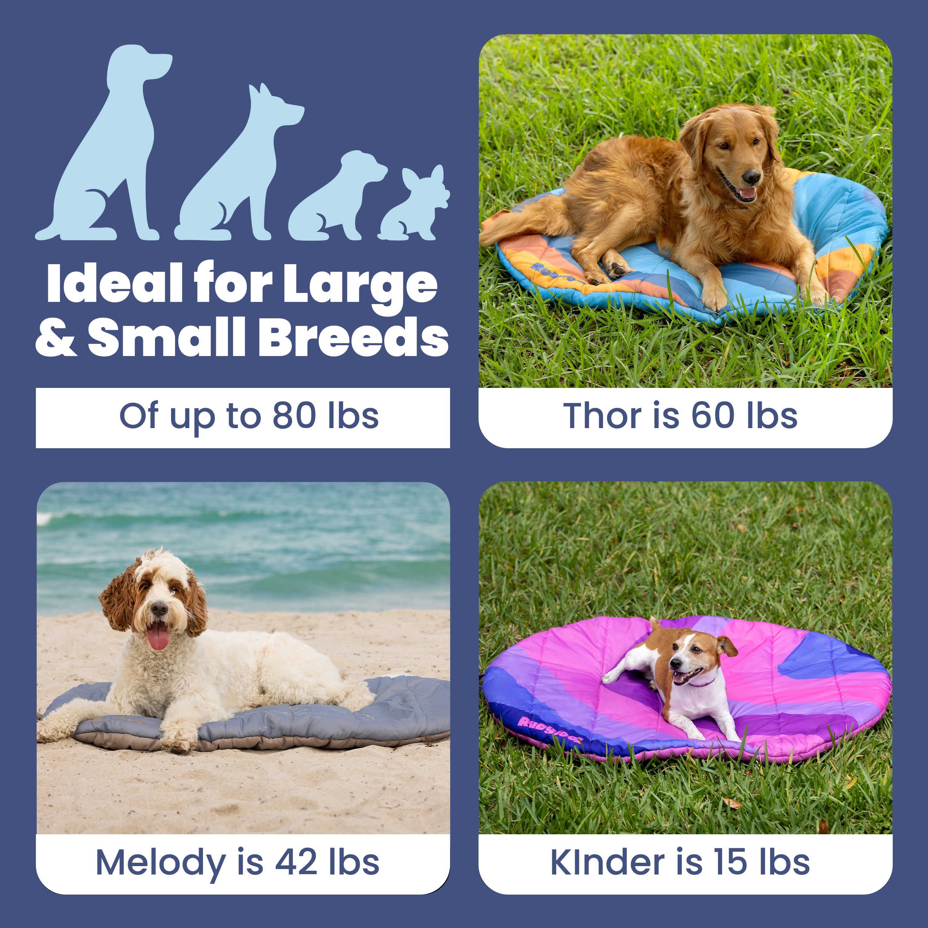 Foldable Travel Dog Bed – Packable, Waterproof & Ripstop Nylon | Rubyloo