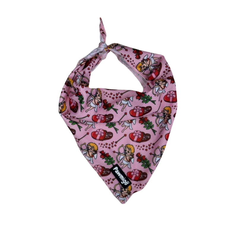 Lovestruck Bandana – Seasonal Bandana | Doggo Dream Shop