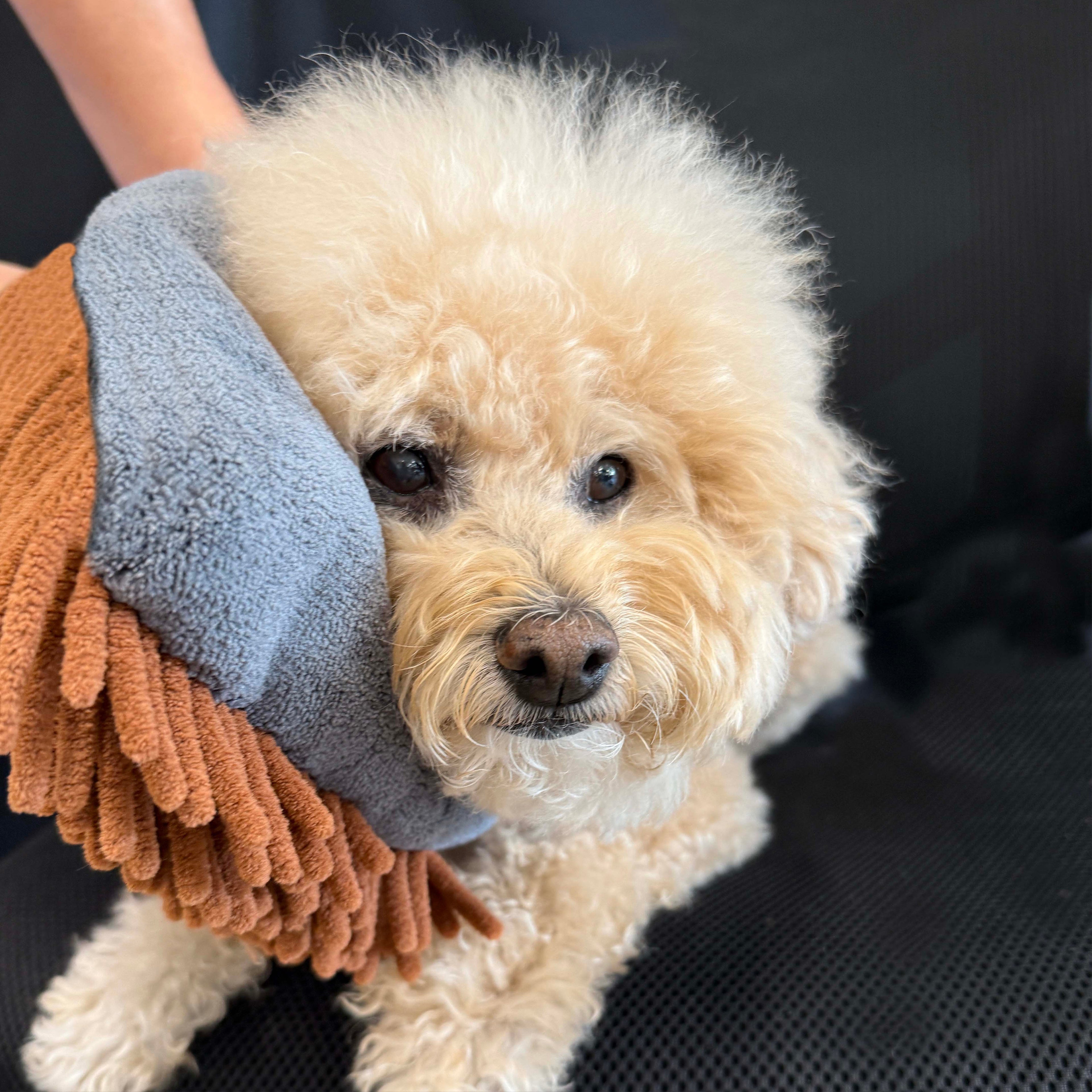 THE COMB – Professional Dog Grooming Comb by Pride+Groom