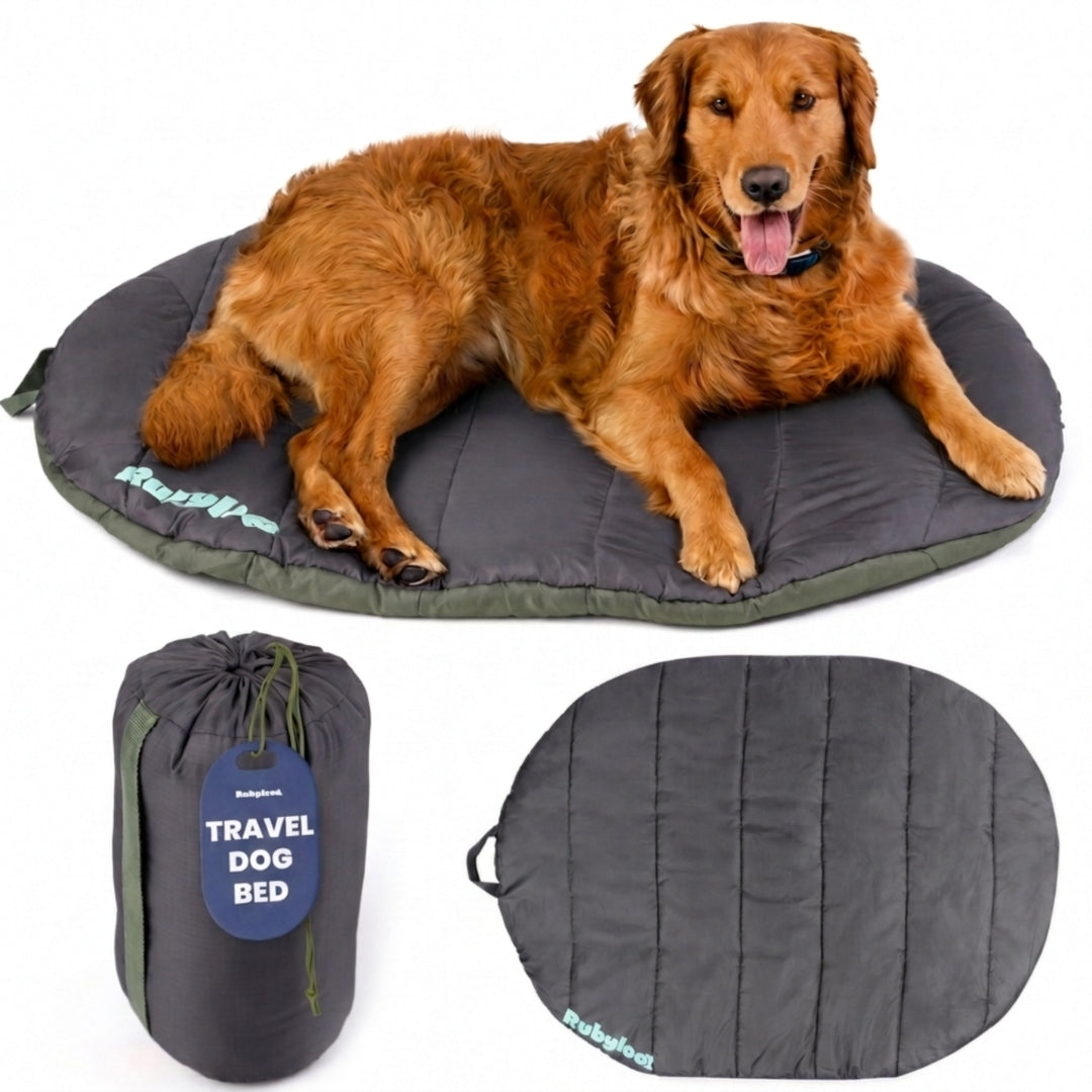 Foldable Travel Dog Bed – Packable, Waterproof & Ripstop Nylon | Rubyloo