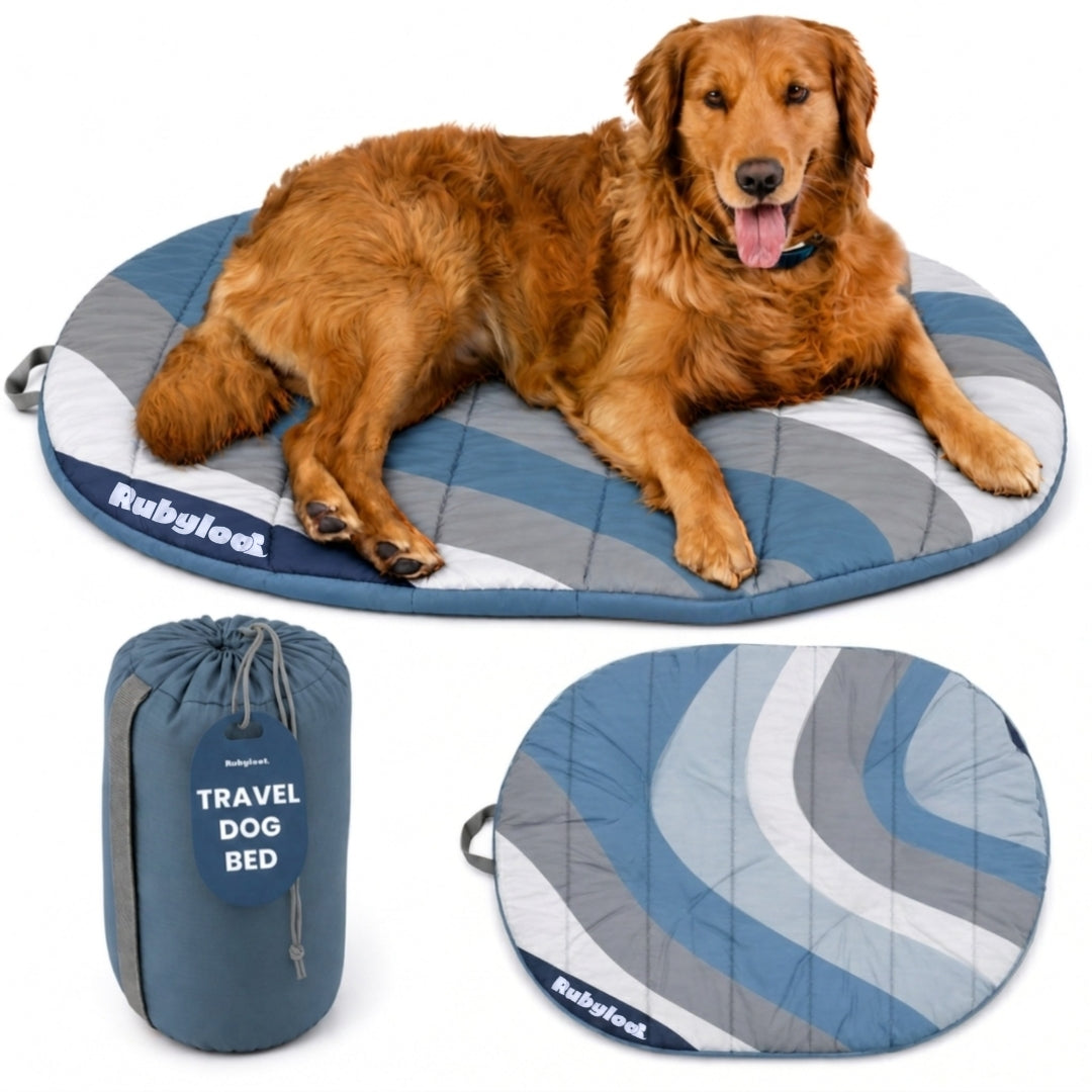 Foldable Travel Dog Bed – Packable, Waterproof & Ripstop Nylon | Rubyloo