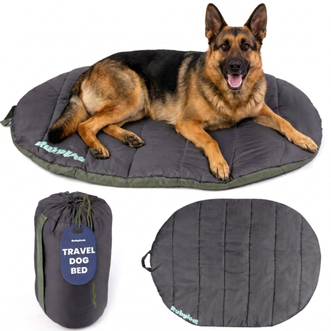 Foldable Travel Dog Bed – Packable, Waterproof & Ripstop Nylon | Rubyloo